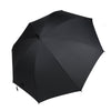 Fan Umbrella